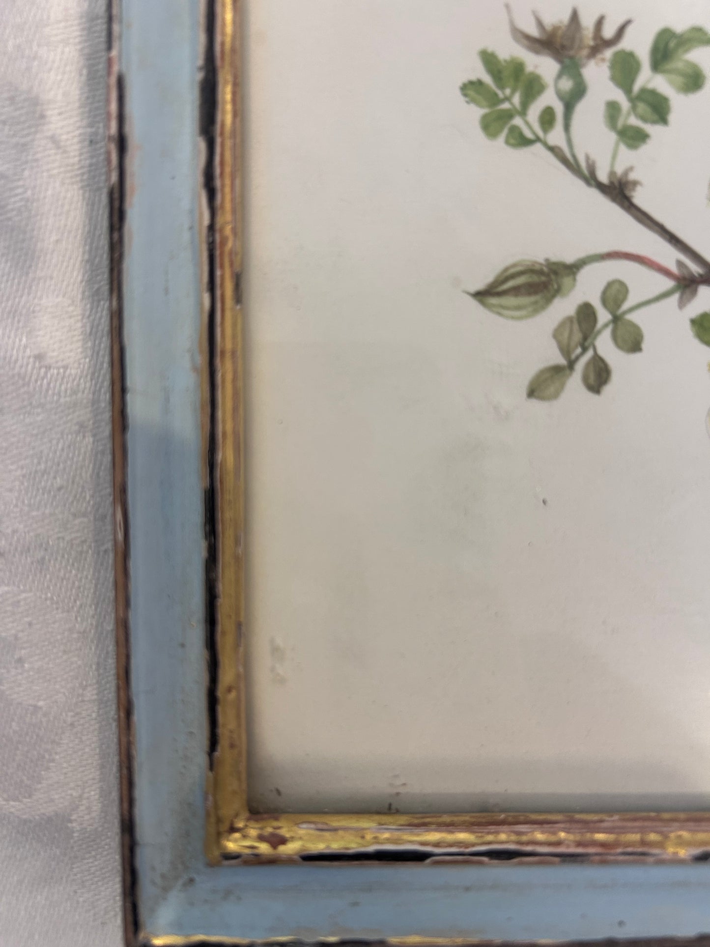 PRINT IN FRAME