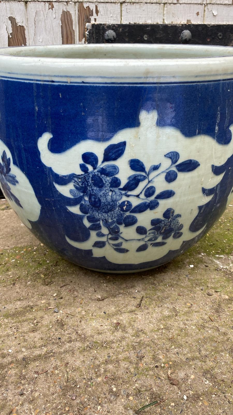MASSIVE POT