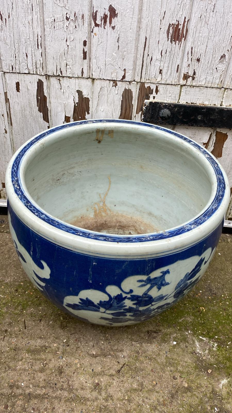MASSIVE POT
