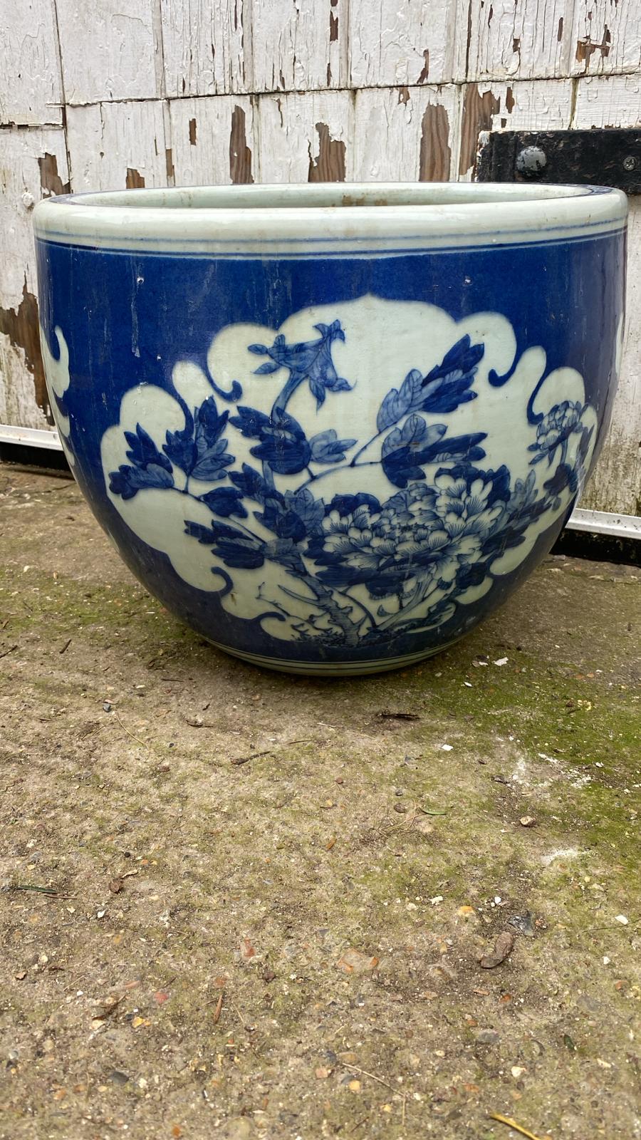 MASSIVE POT