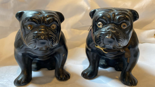 BULLDOGS