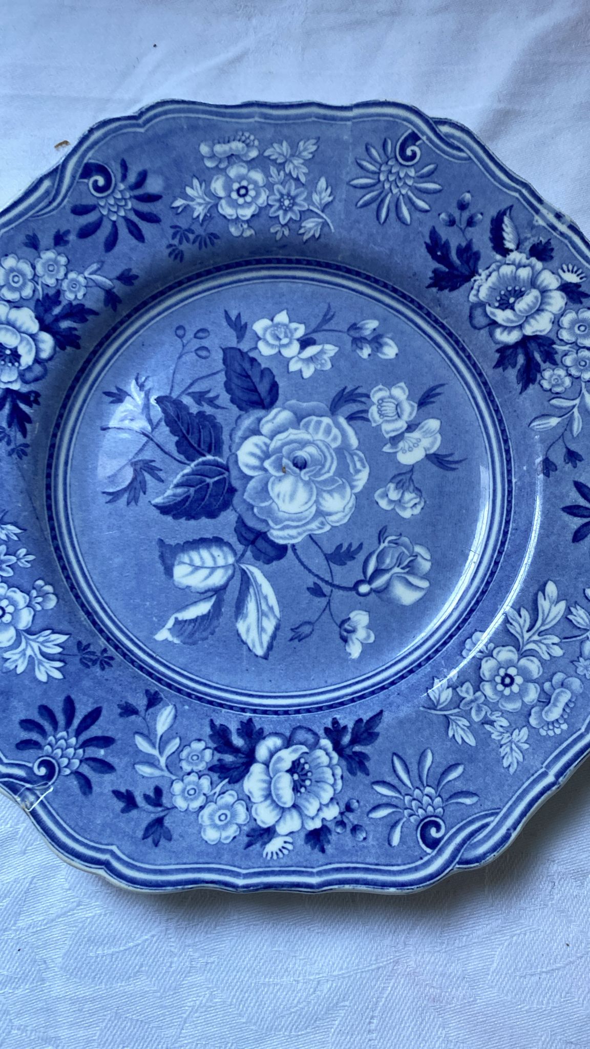 SPODE PLATE