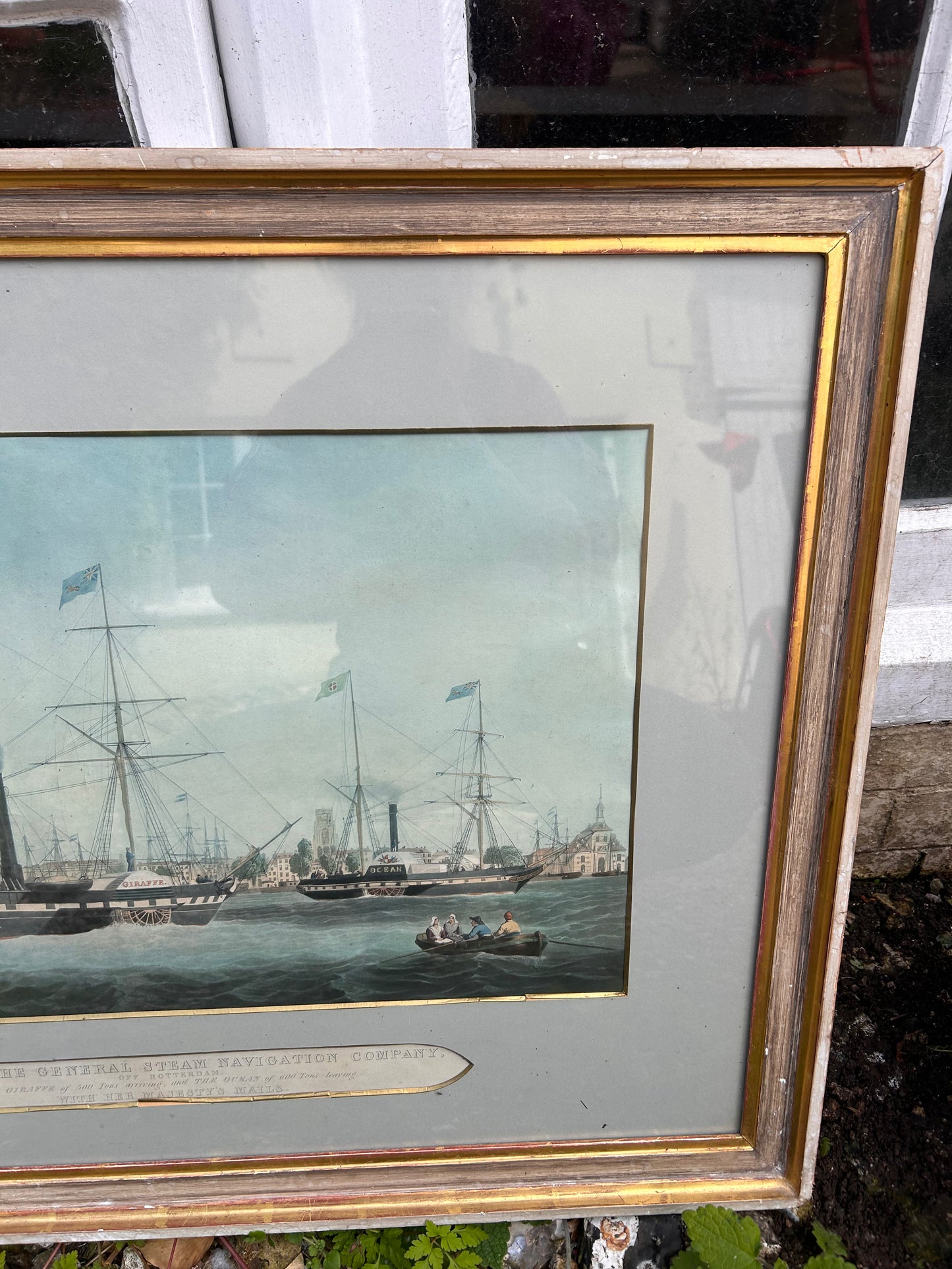 LARGE PICTURE