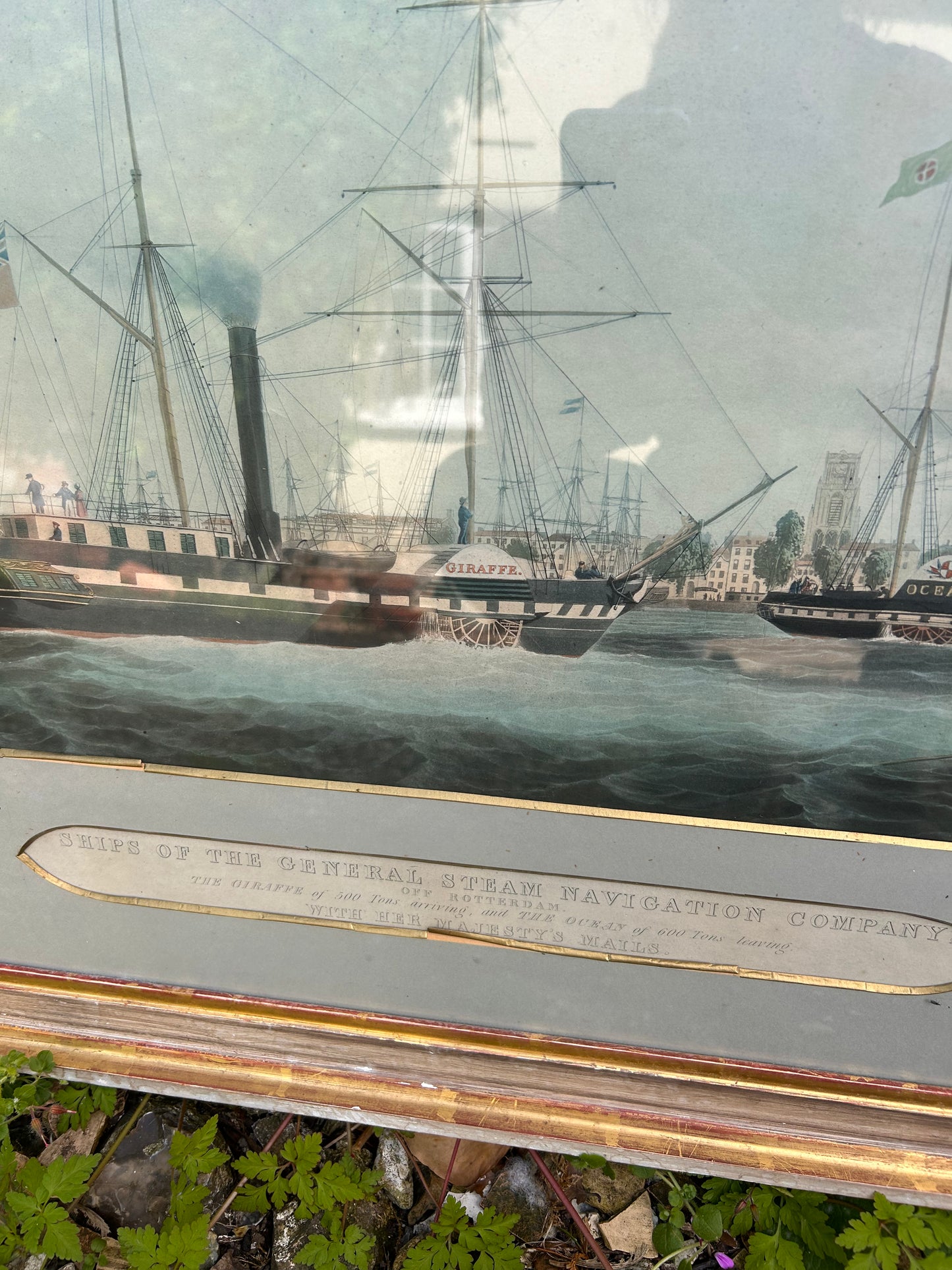 LARGE PICTURE