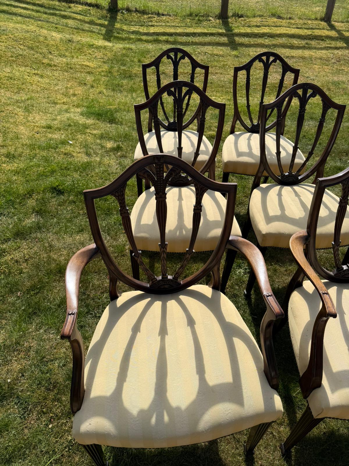 SET OF CHAIRS