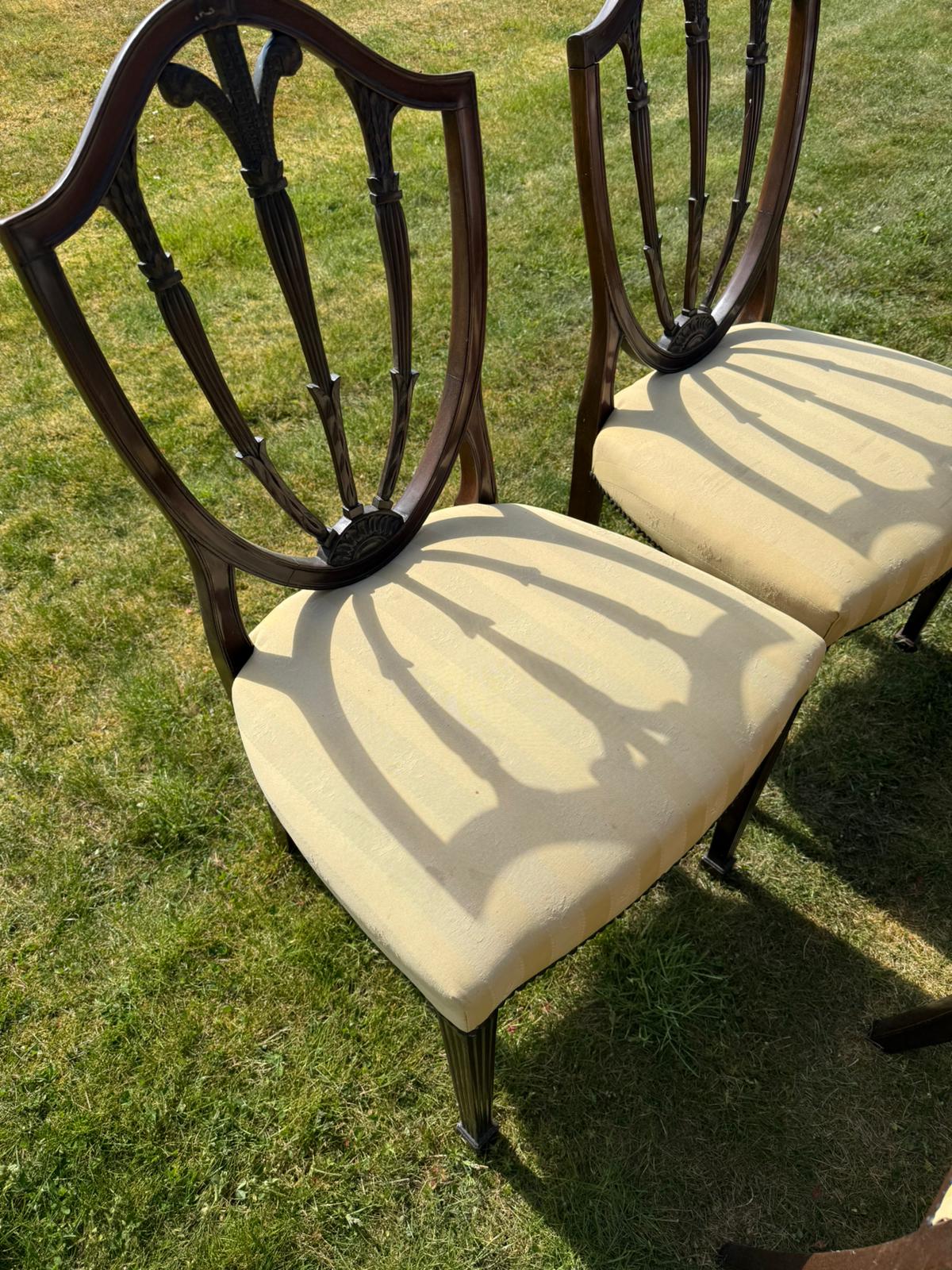 SET OF CHAIRS