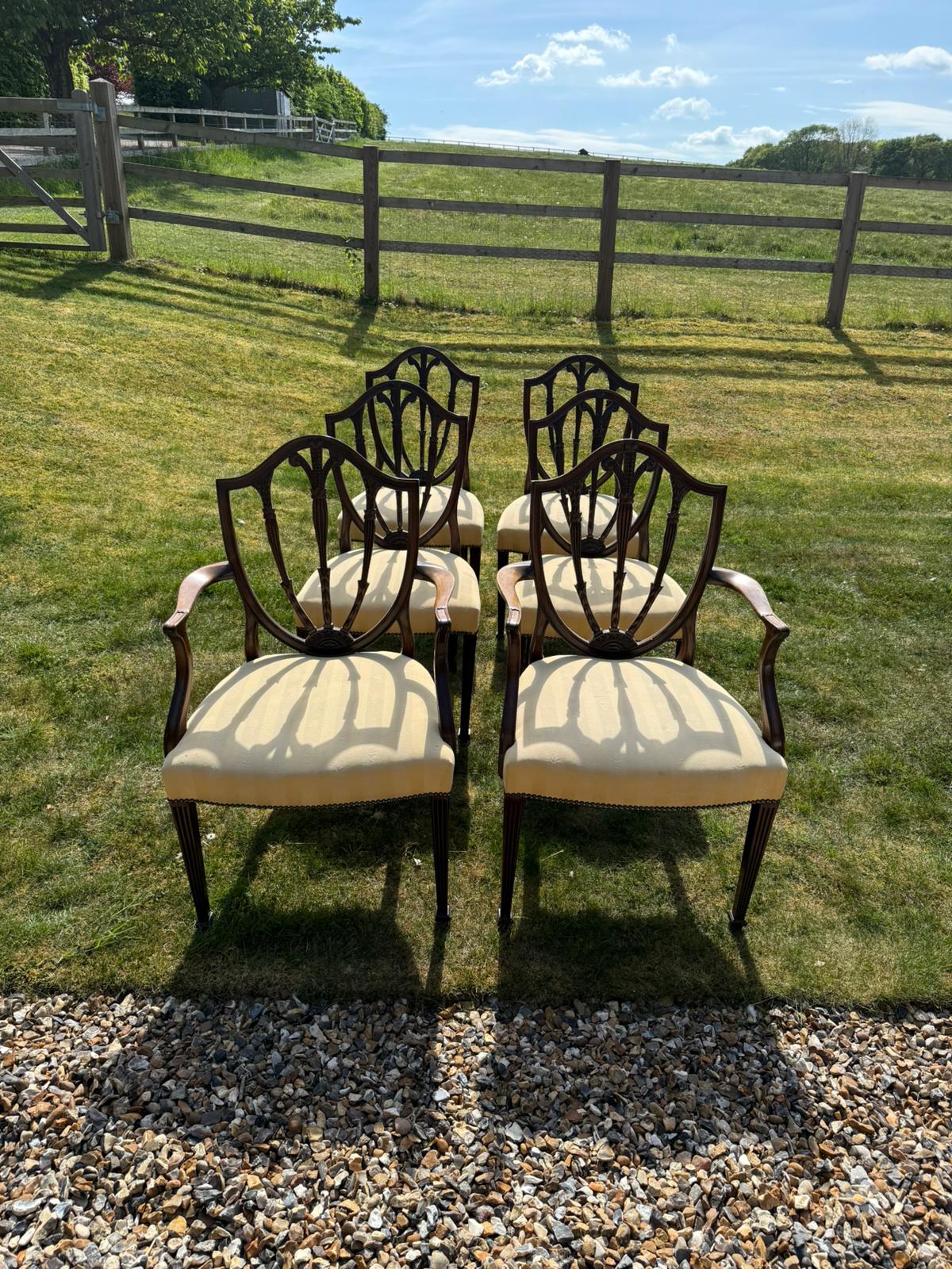SET OF CHAIRS