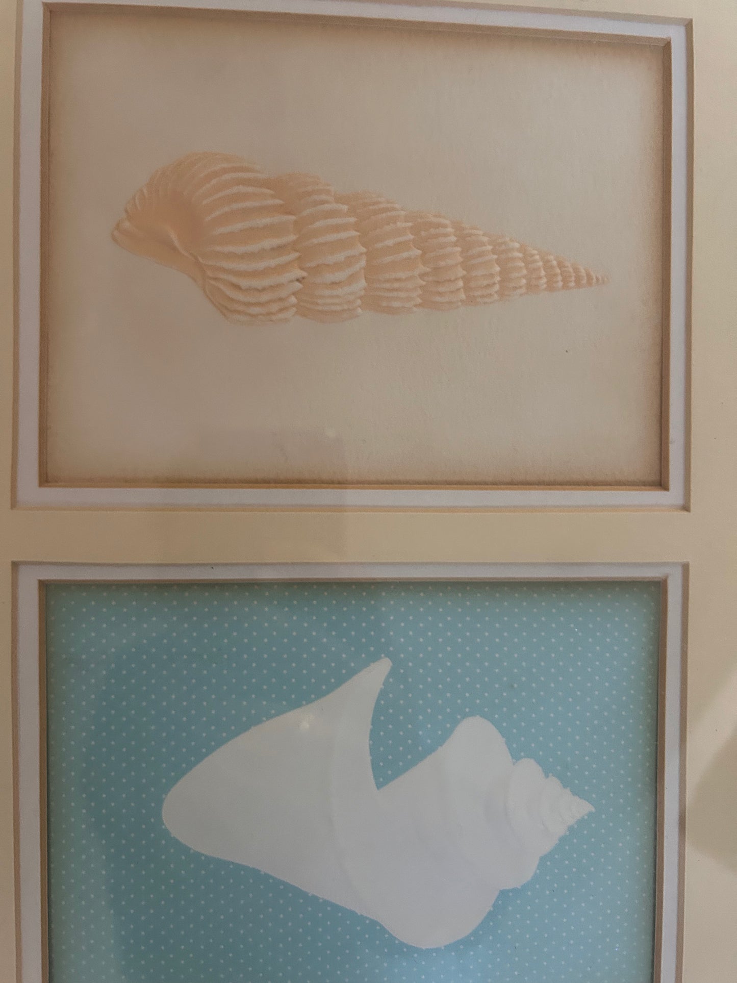 SHELL PICTURE