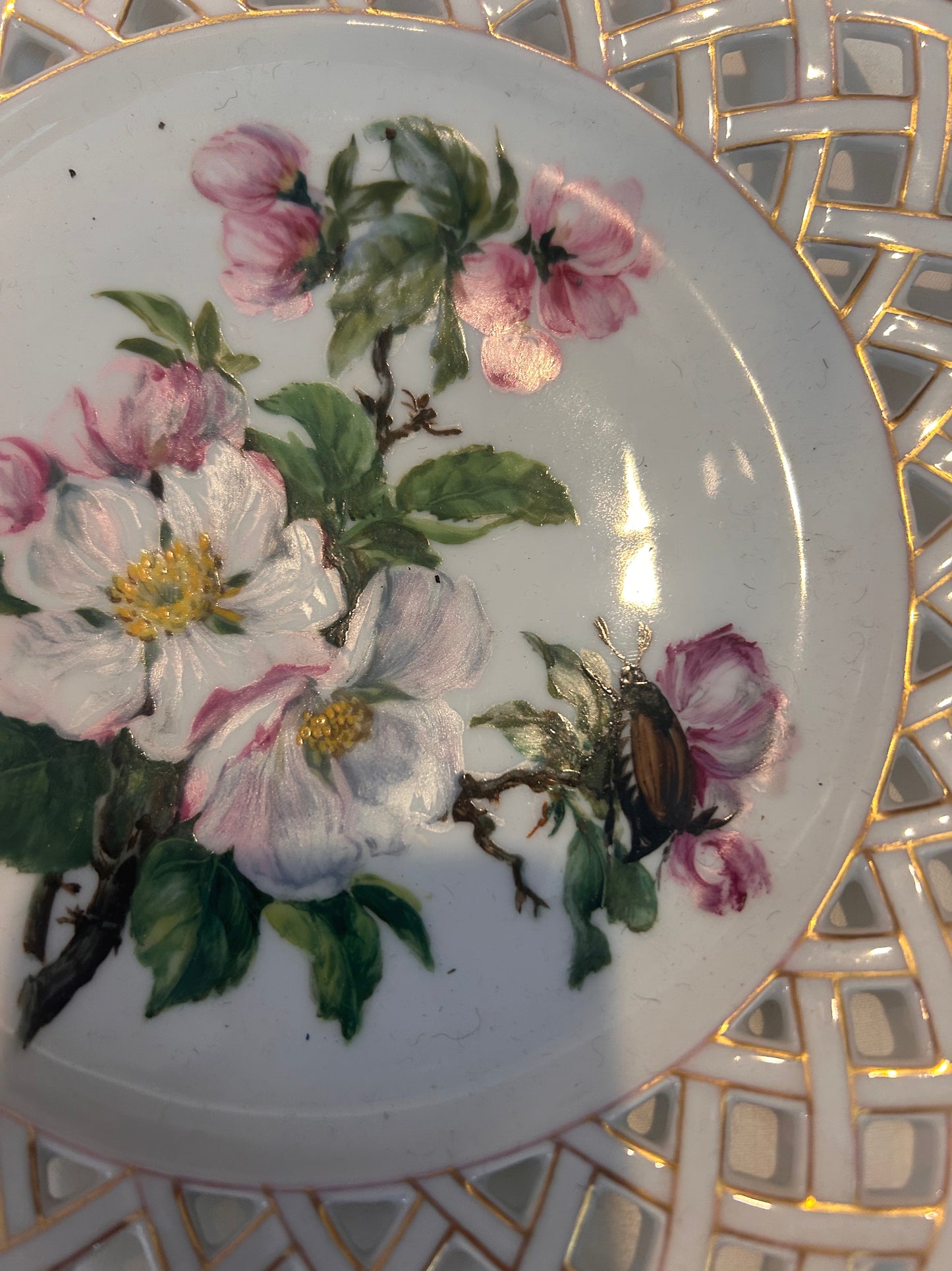 LATTICE DISHES