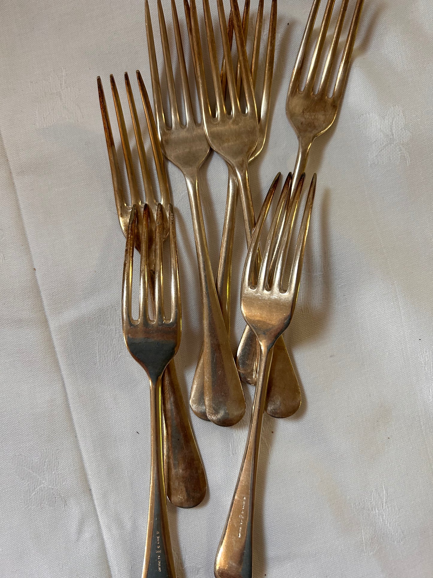 FORKS x 8 SMALL