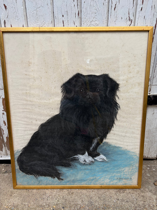 DOG DRAWING