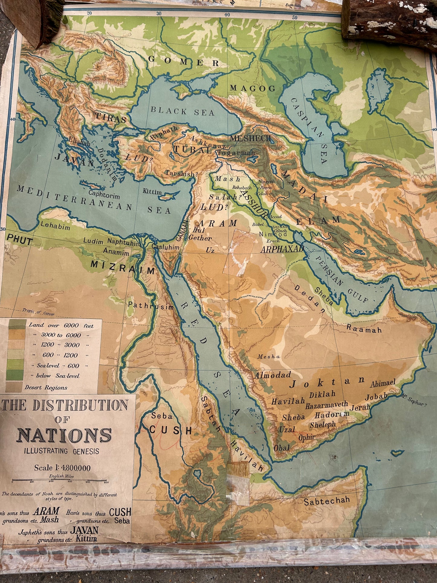 ANTIQUE MAPS