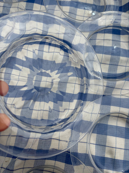 10 GLASS PLATES