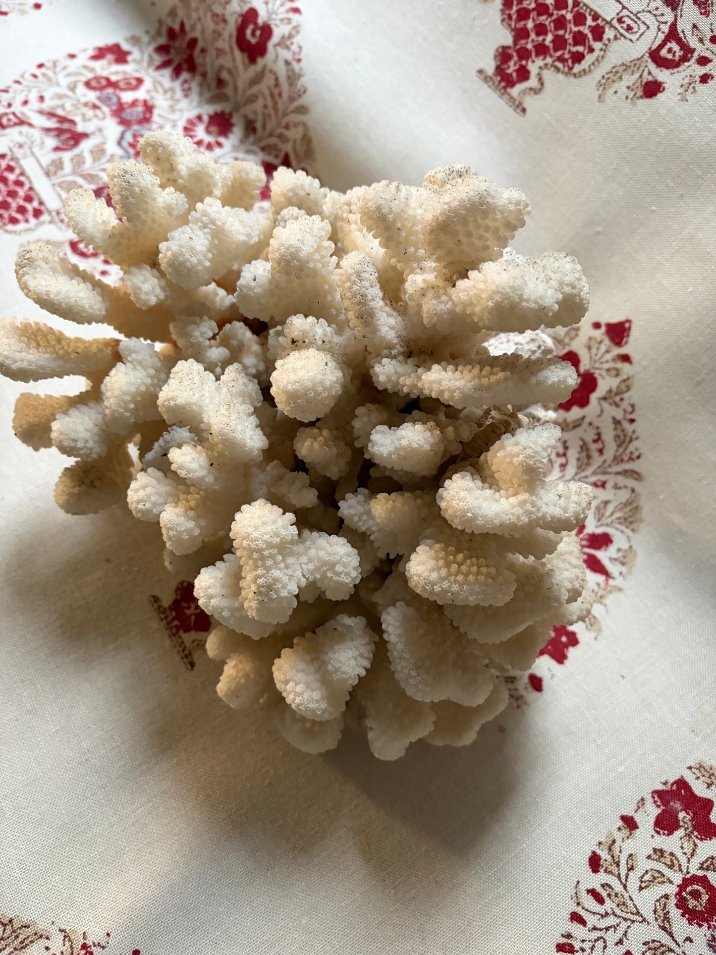 CORAL