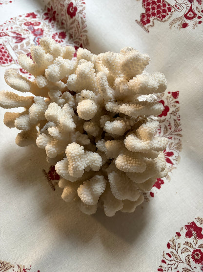CORAL