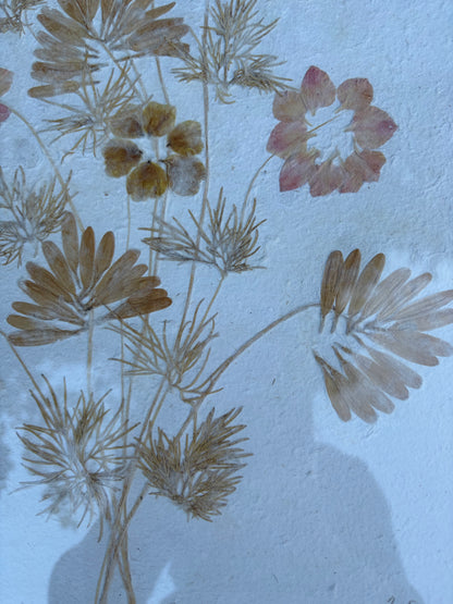 FLOWER PICTURE