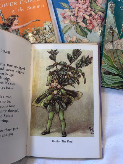 FLOWER FAIRY BOOKS