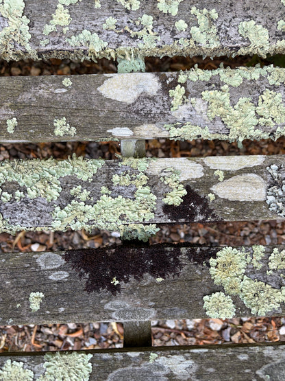BENCH
