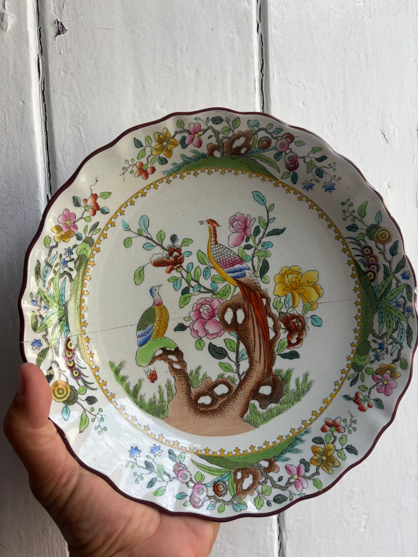 SPODE PLATE