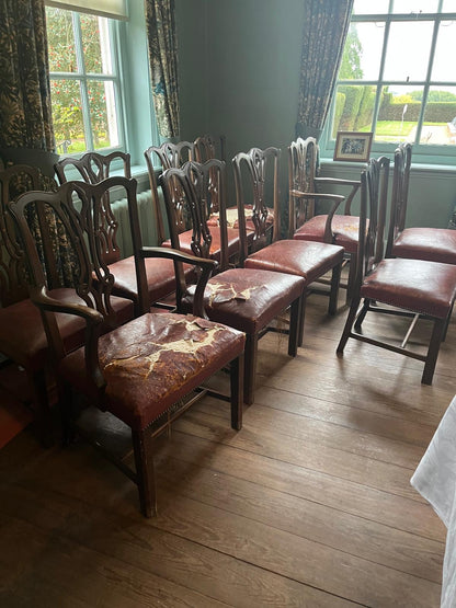 SET OF 10 CHAIRS