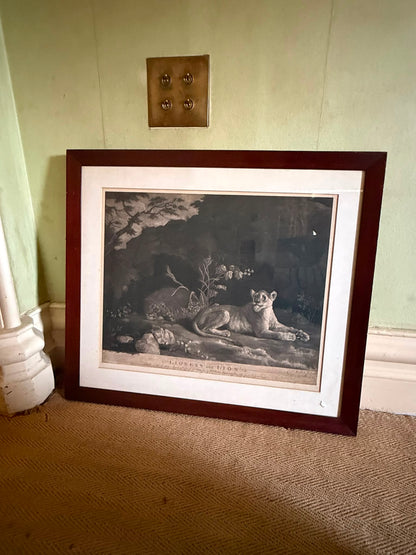 STUBBS PRINT