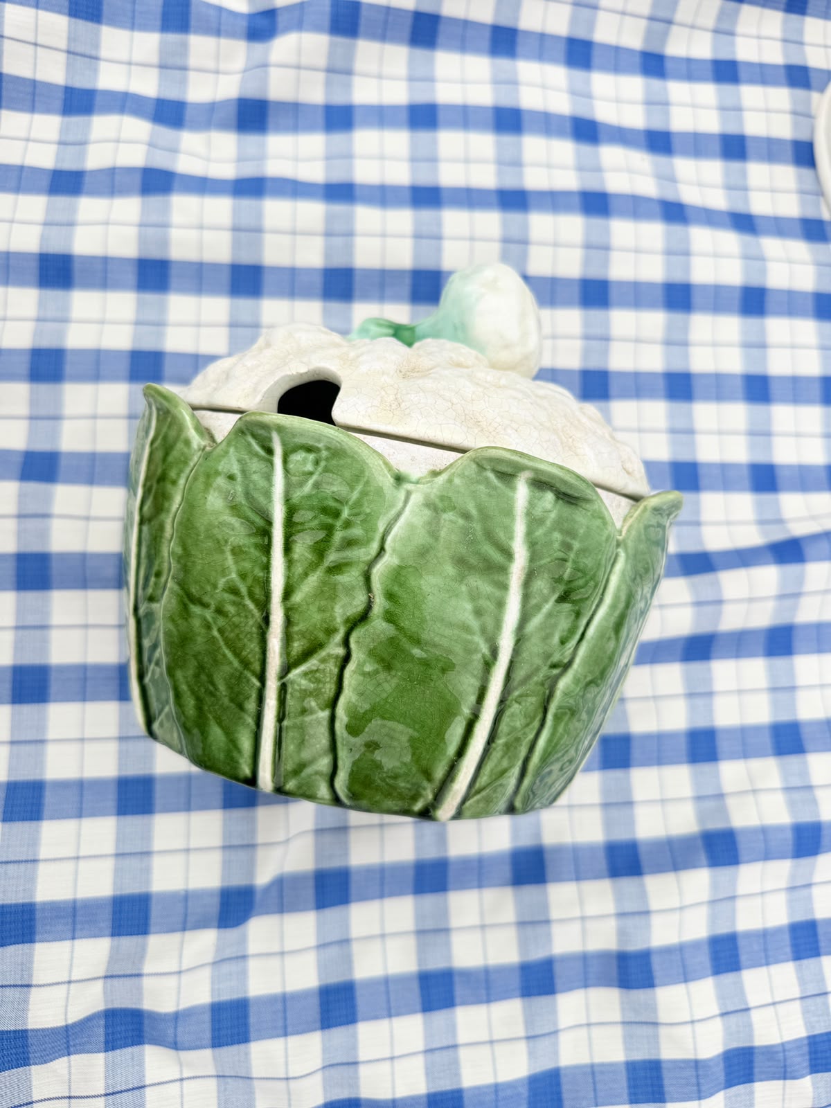 CAULIFLOWER CABBAGEWEAR