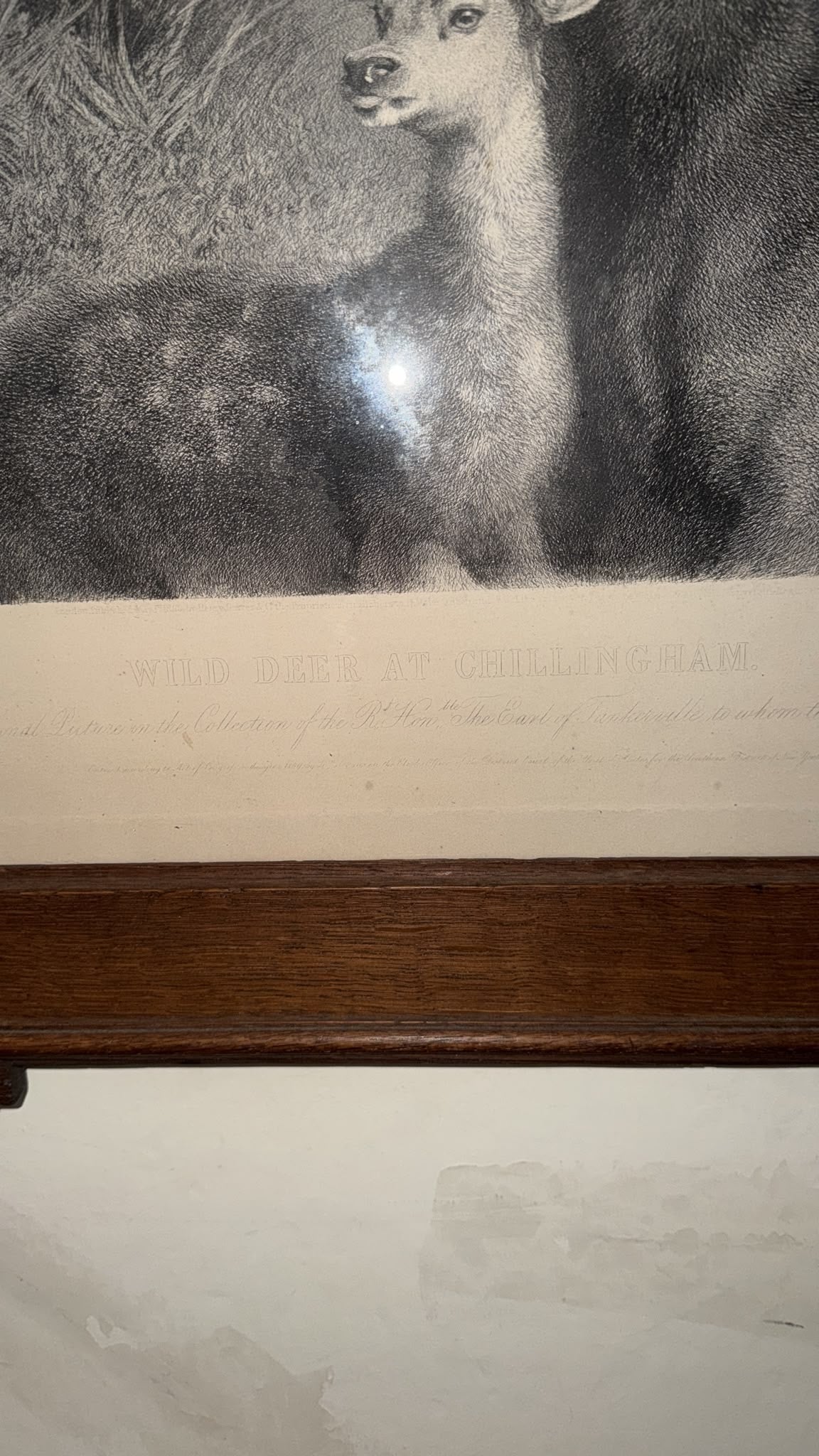 LANDSEER PRINT
