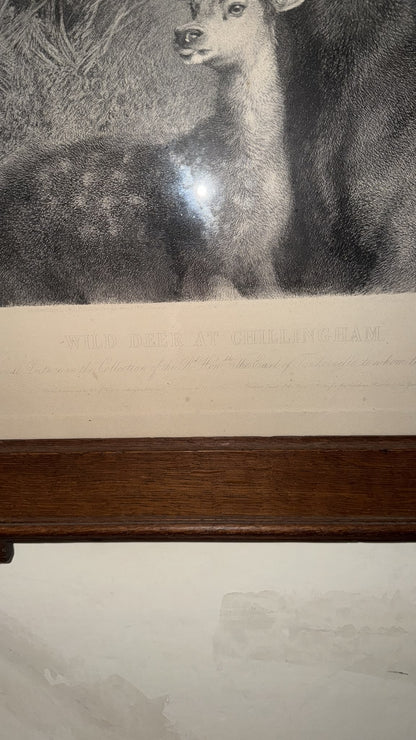 LANDSEER PRINT