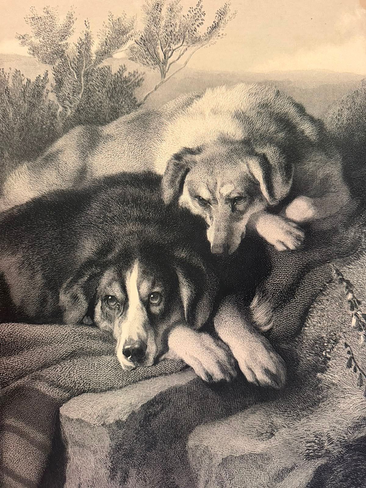 LANDSEER PRINT