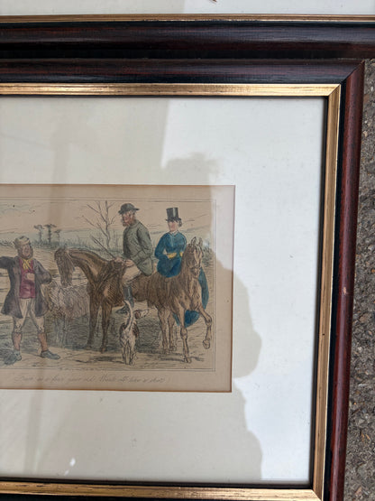 HORSE PICTURES