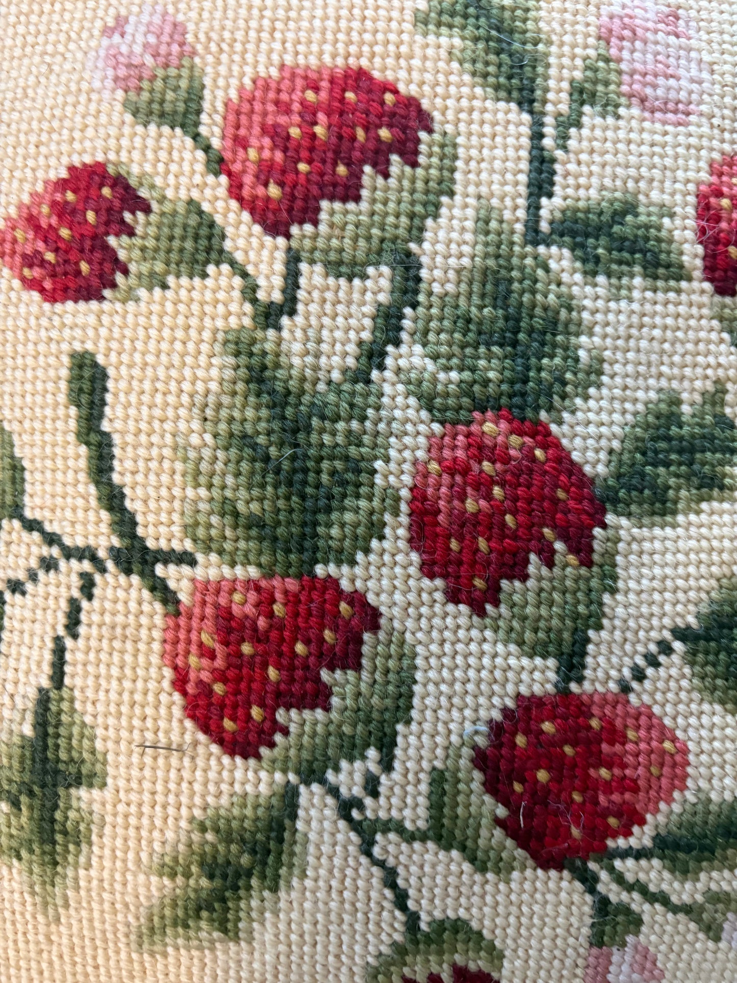 STRAWBERRIES CUSHION