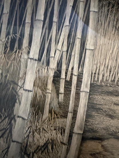 SILK WORK PICTURE