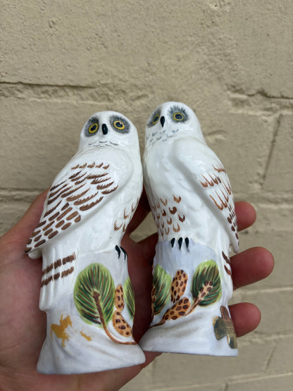 TWO OWLS