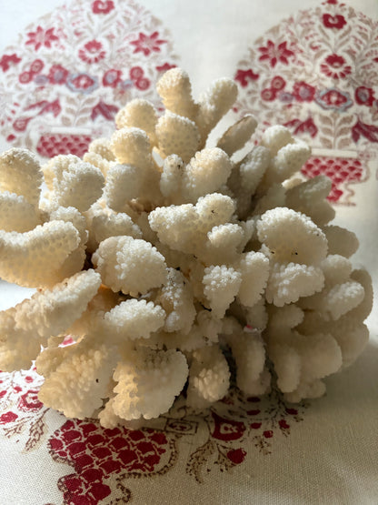 CORAL