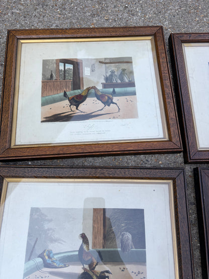 ANTIQUE PRINTS
