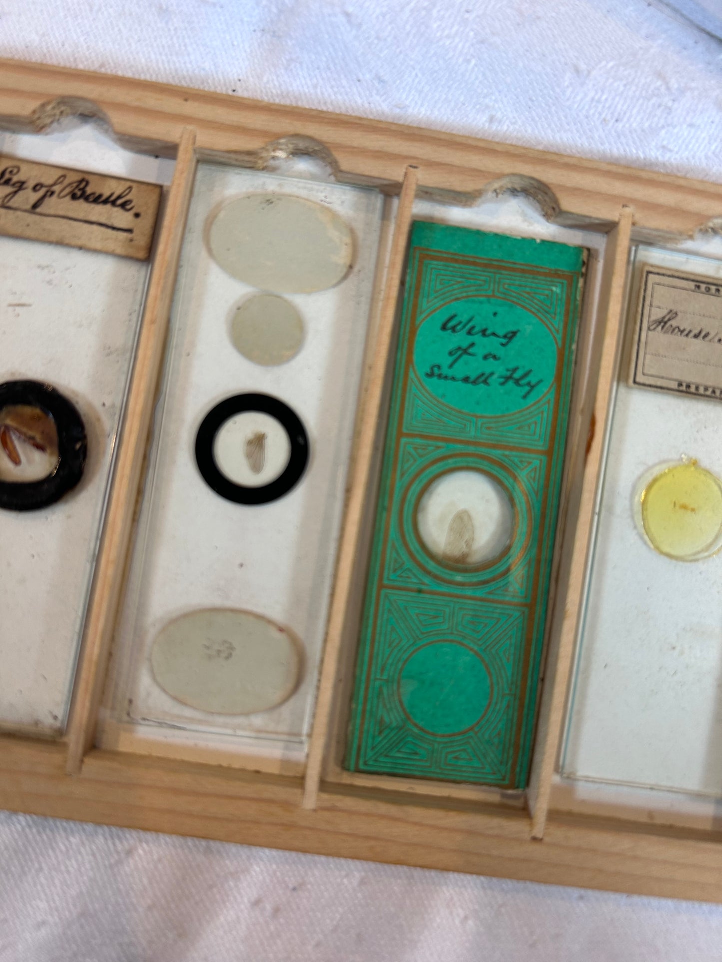 MICROSCOPIC BOX