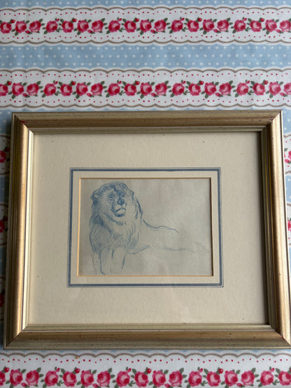 LION DRAWING