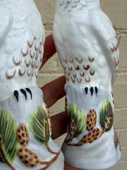 TWO OWLS
