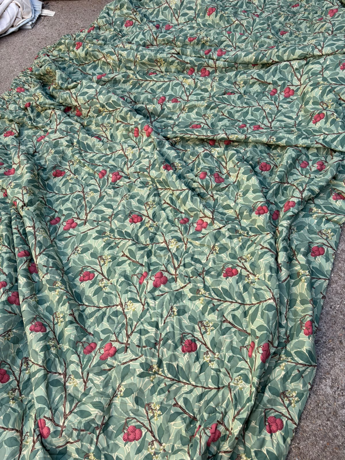 CURTAIN