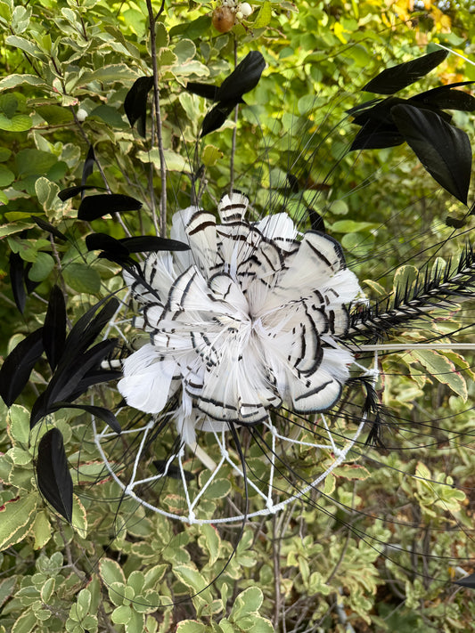 FASCINATOR