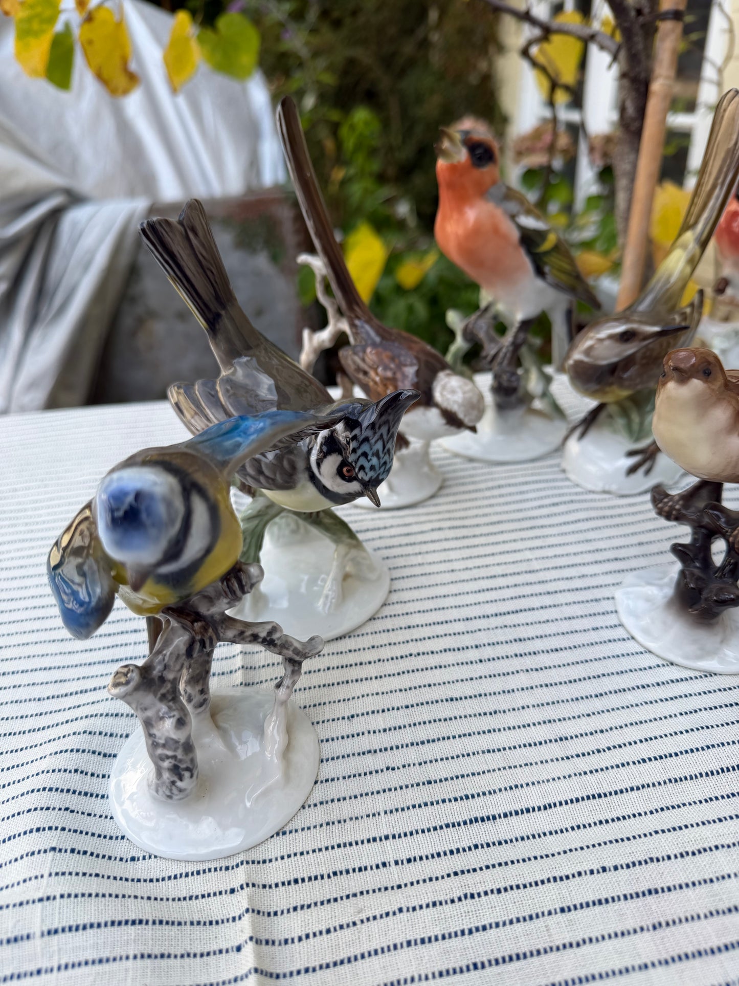 COLLECTION OF BIRDS