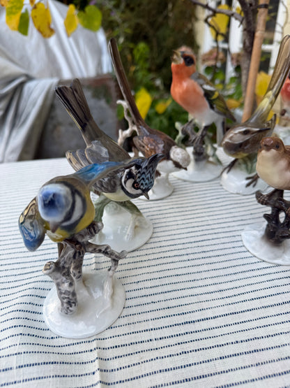 COLLECTION OF BIRDS