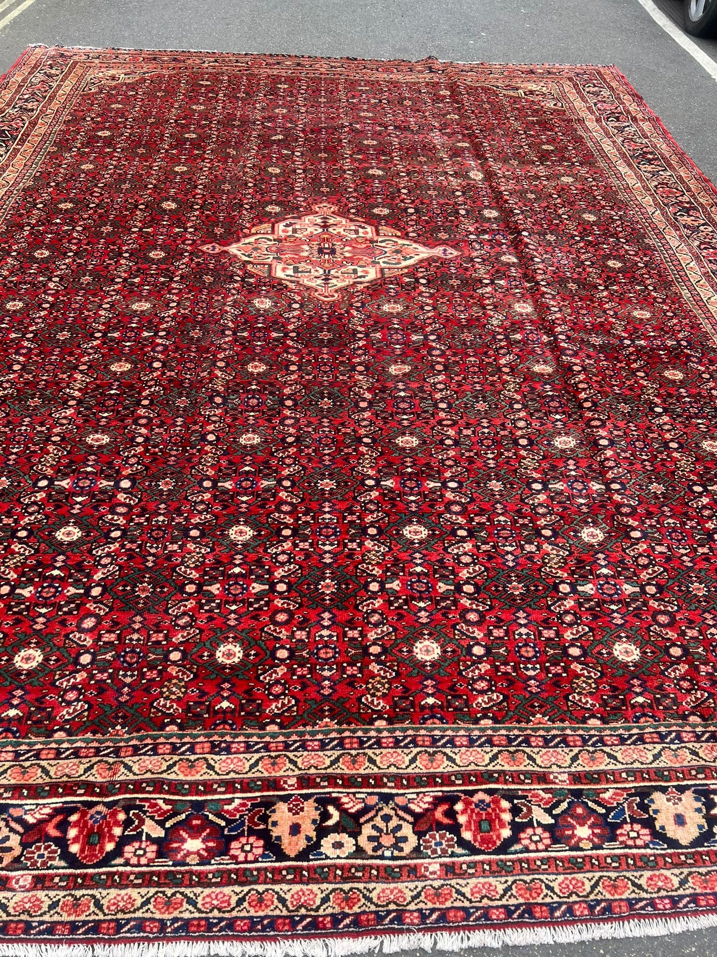 CARPET