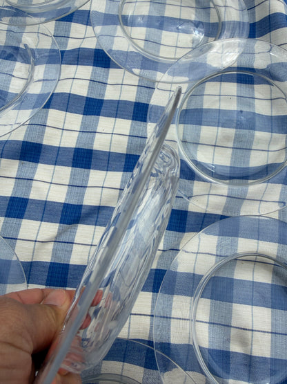10 GLASS PLATES