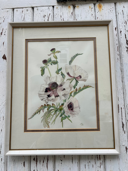 POPPIES PICTURE