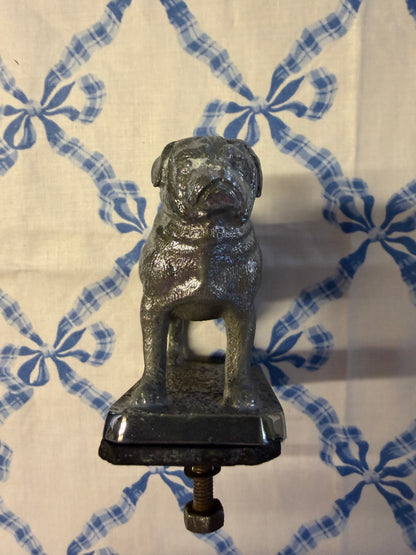 CAR MASCOT