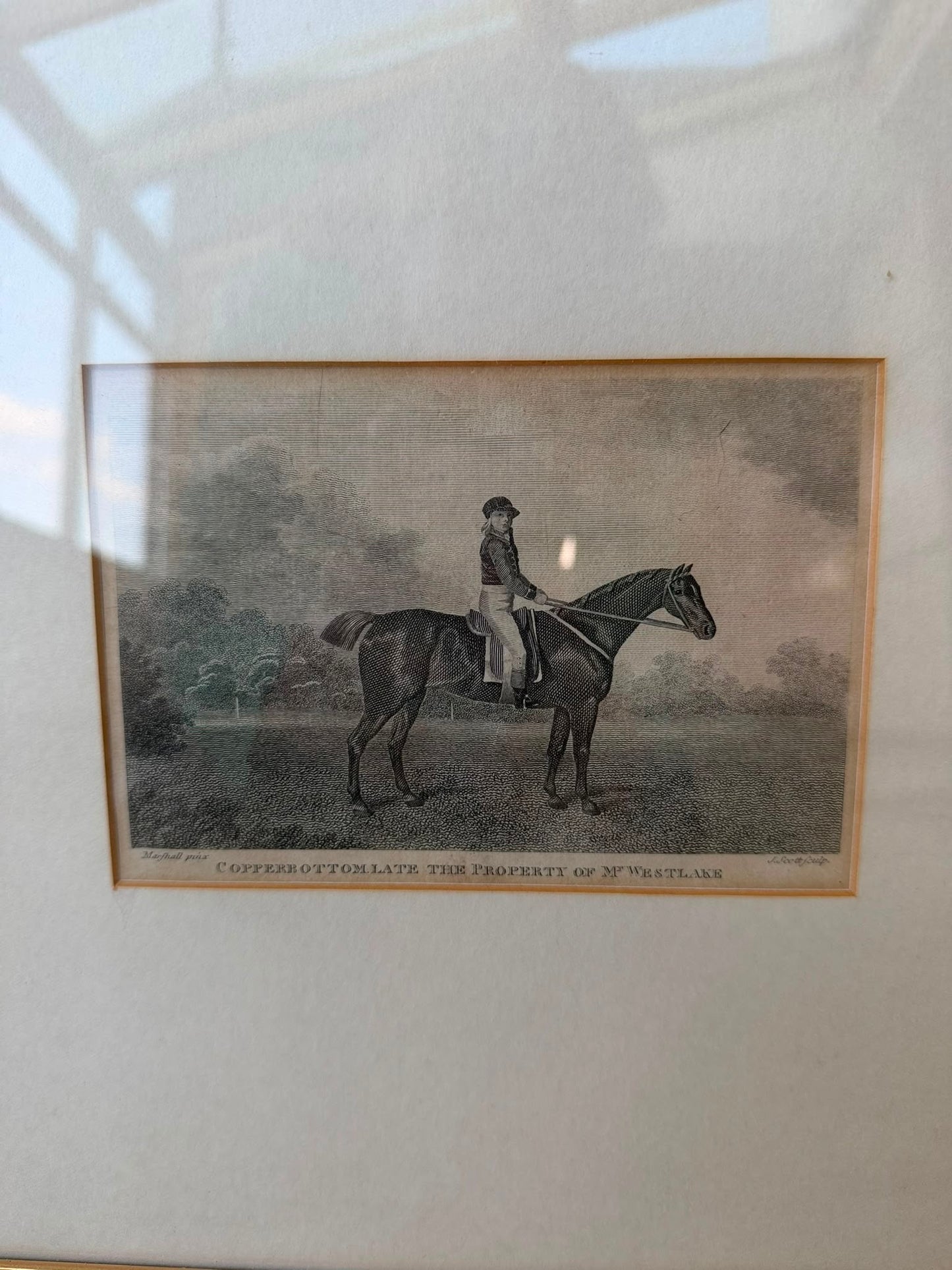 HORSE PRINT