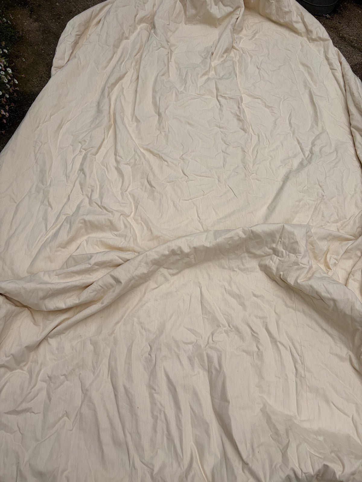 CREAM COTTON CURTAINS