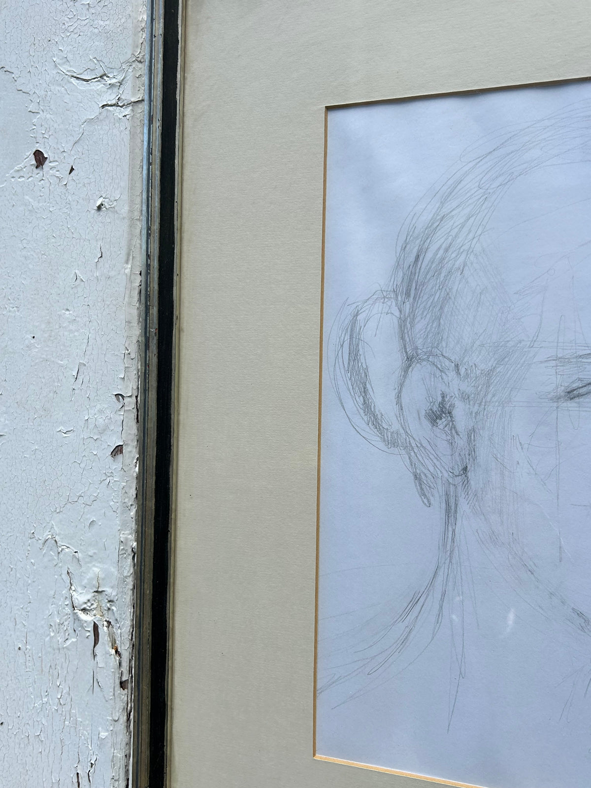 PENCIL PORTRAIT