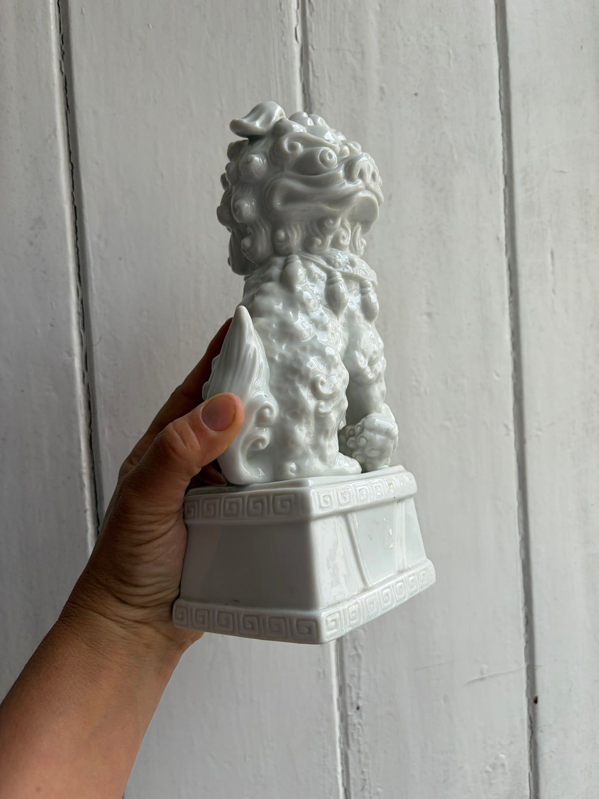 FOO DOG